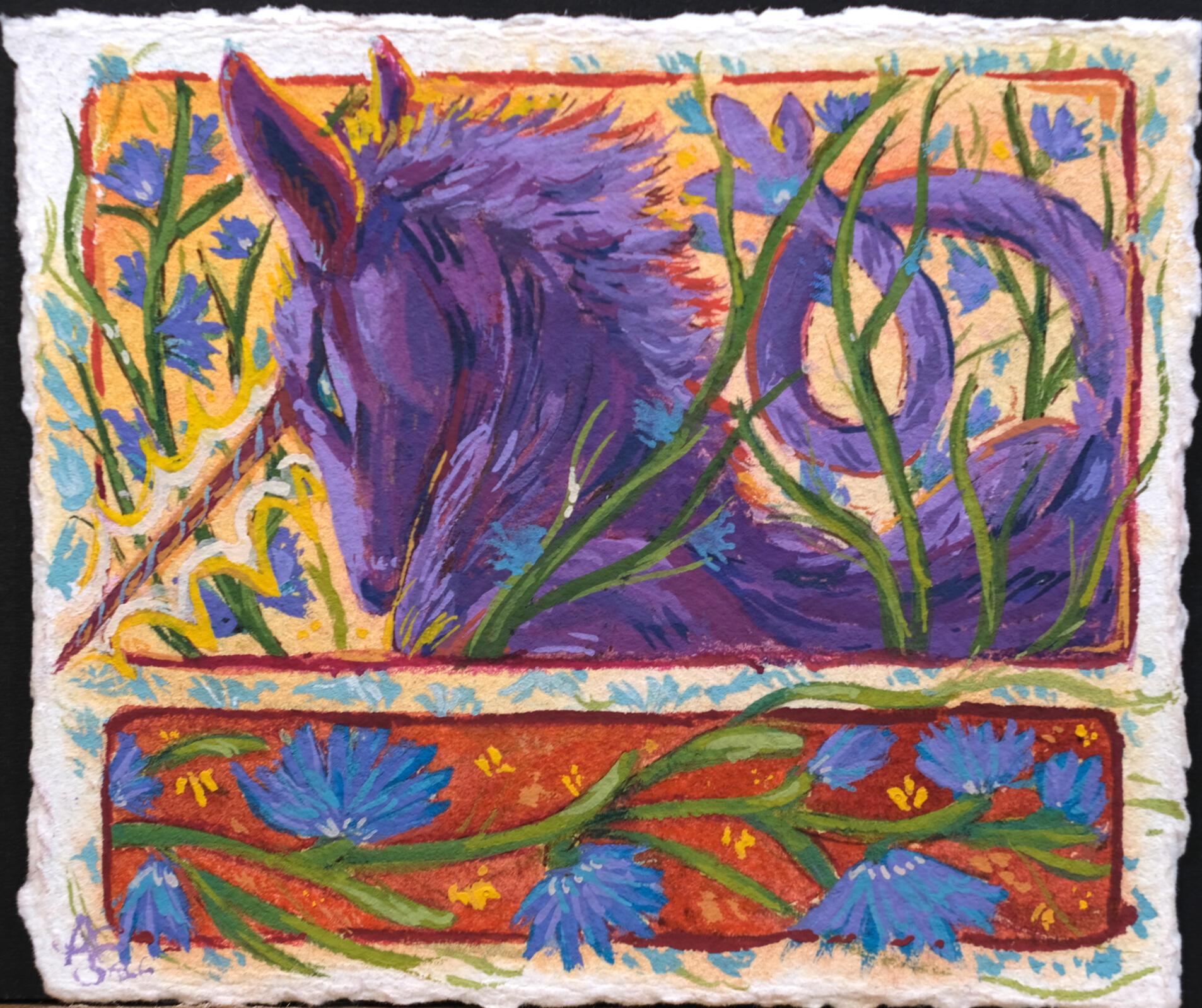 Chicory, watercolor & gouache